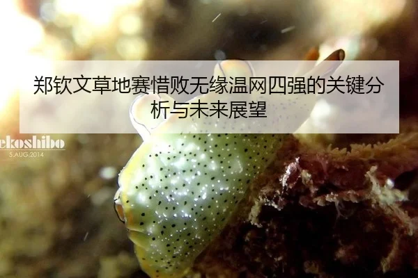 郑钦文草地赛惜败无缘温网四强的关键分析与未来展望
